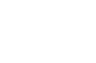 Born To Race